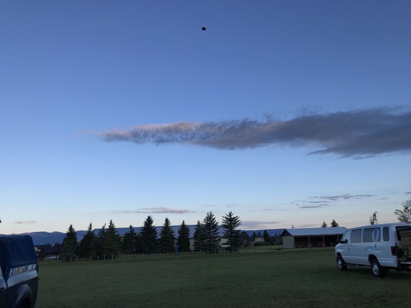 Balloon and Trees